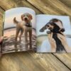 Playful Dog - Large Print Book - Gift Ideas For People With Dementia