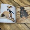 Dogs Photo Book Gift Ideas For Seniors With Dementia