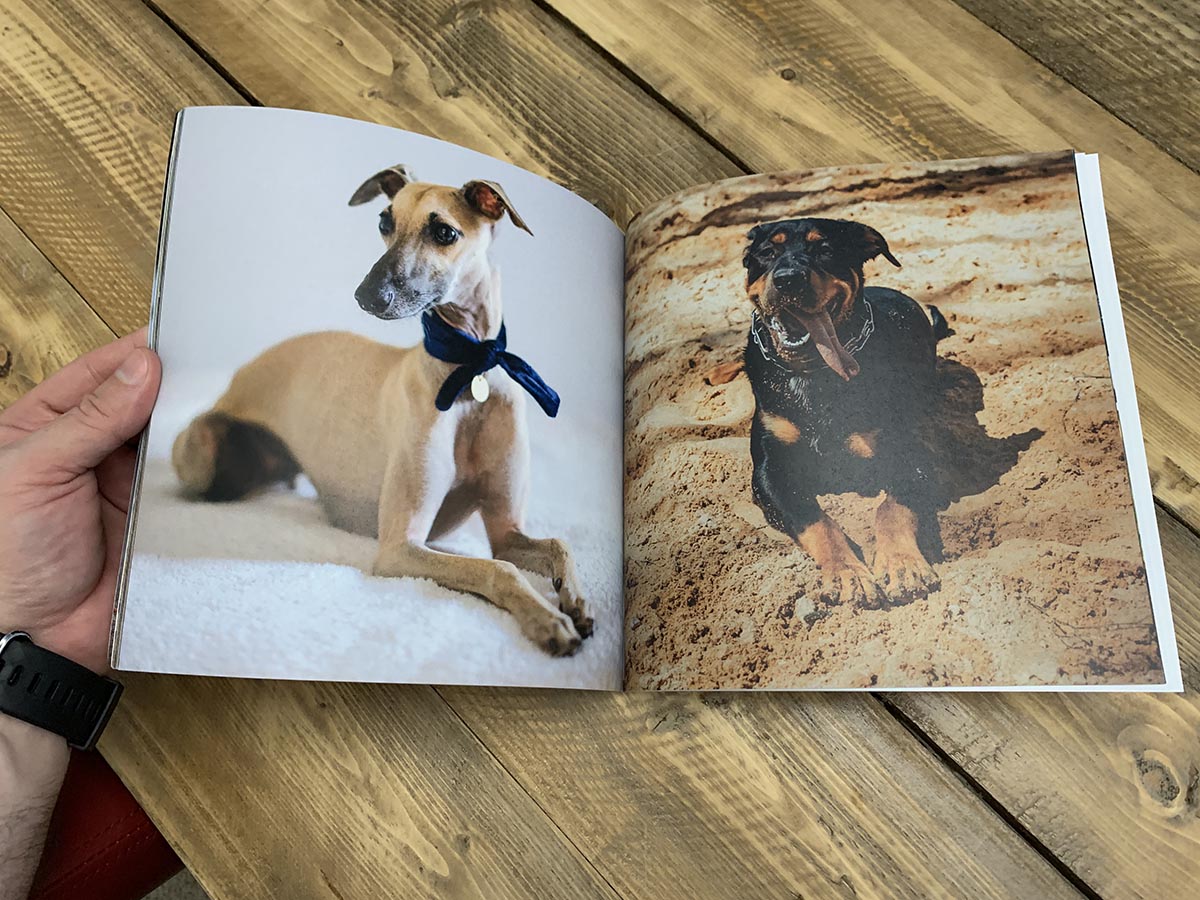 Dogs Photo Book Gift Ideas For Seniors With Dementia