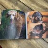 Dogs Photo Book Gift Ideas For Seniors With Dementia