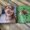 Dogs Photo Book Gift Ideas For Seniors With Dementia