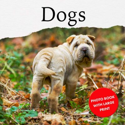 Dogs Photo Book Gift Ideas For Seniors With Dementia