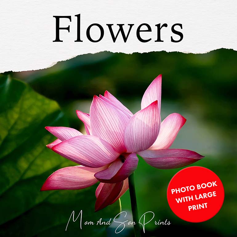 Flowers Photo Book With Large Print