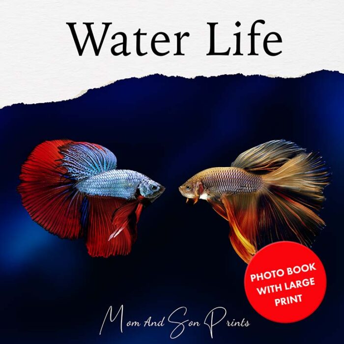 dementia-book-water-life-cover