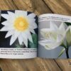 Flowers: Photo Book With Large Print - Image 5