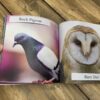 senior-gift-ideas-dementia-birds-book-02