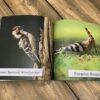 Birds: Photo Book With Large Print - Image 6