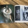 senior-gift-ideas-dementia-cats-book-06