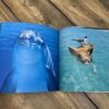 water-life-photo-book-for-seniors-with-dementia-02
