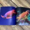 Water Life: Photo Book With Large Print - Image 6
