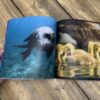Water Life: Photo Book With Large Print - Image 7